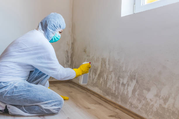 Licensed Mold Inspection service in Brooks, KY - WQB Mold Removal